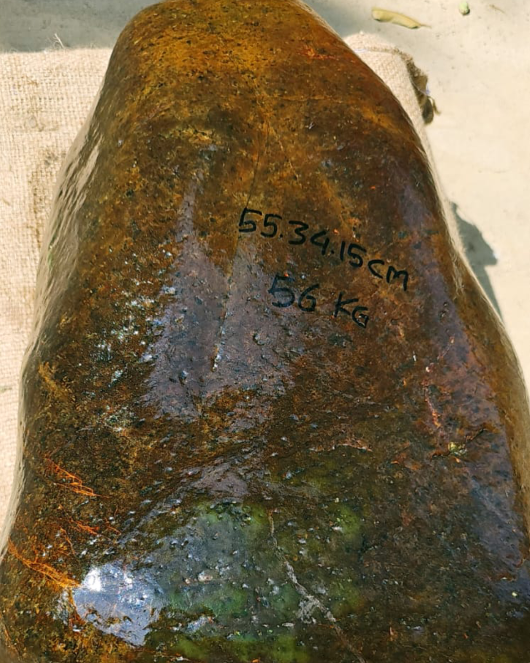 Rare Aceh Green Nephrite Jade Jumbo Masterpiece