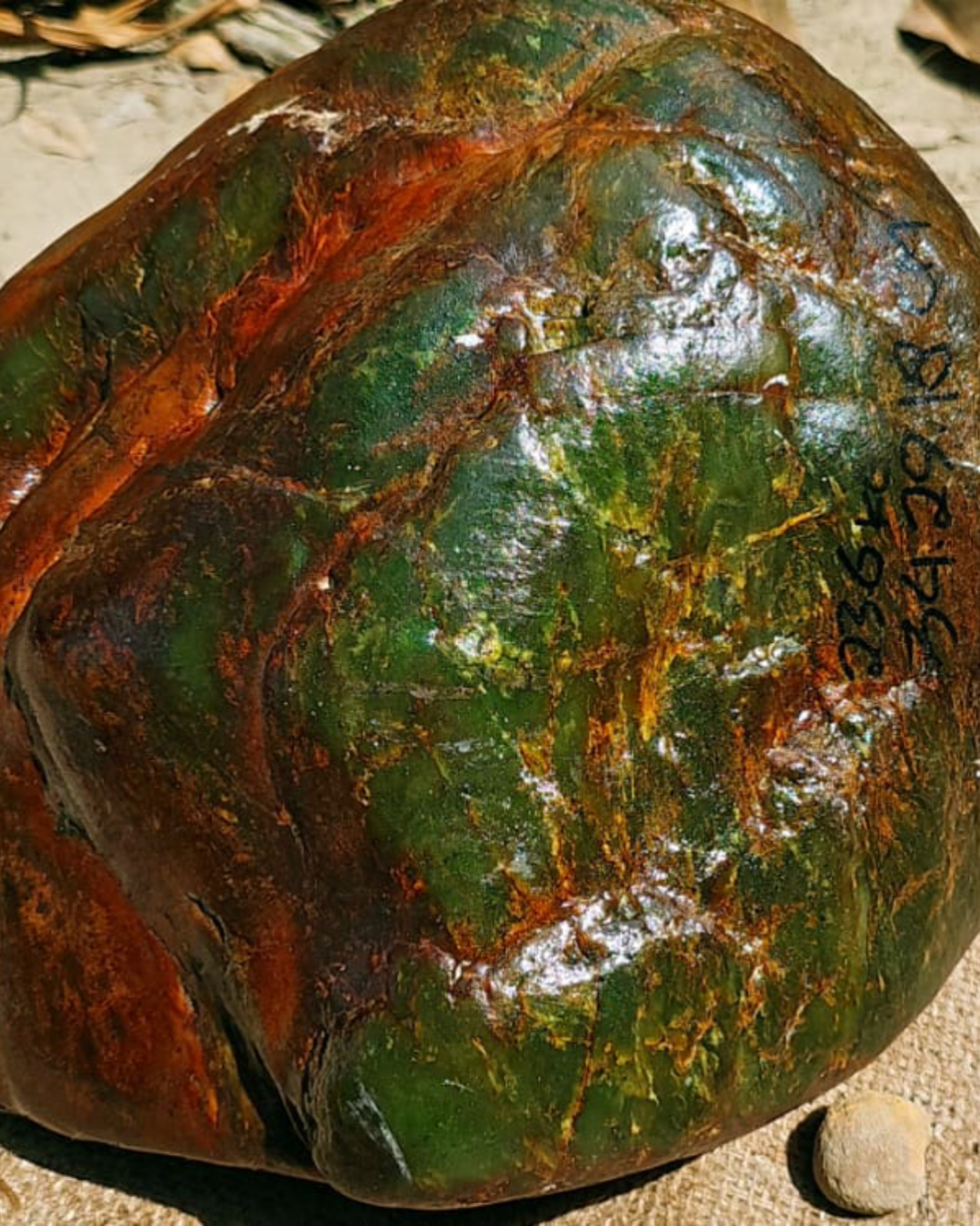 Natural Indonesian Green Nephrite Jade Raw Stone - 23.6 kg