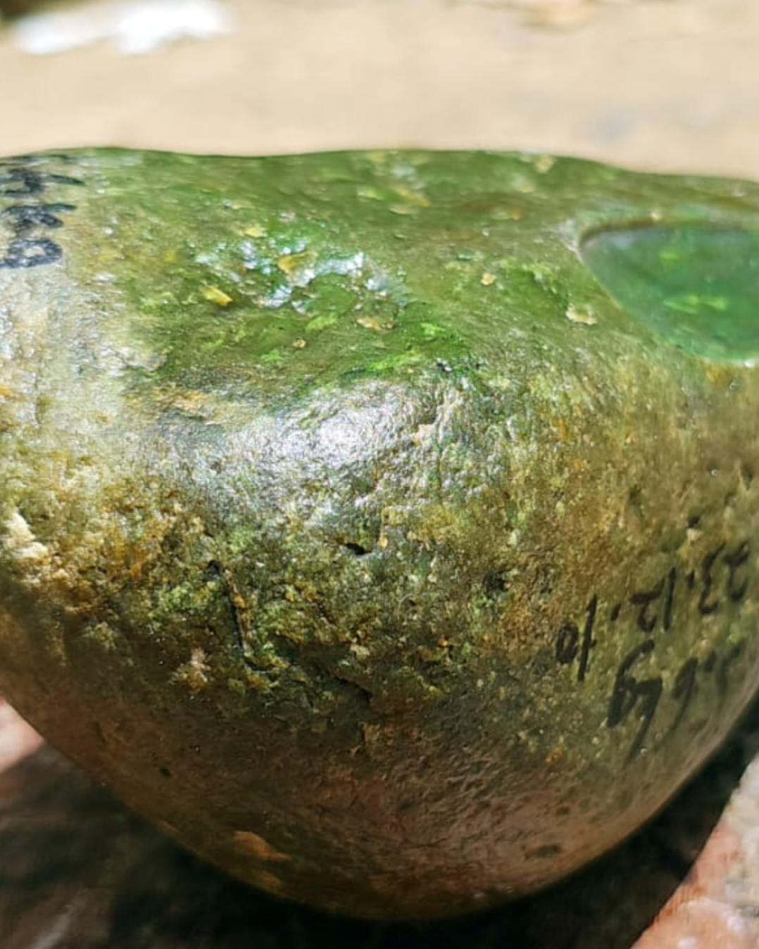Natural Indonesian Green Nephrite Jade Raw Stone - 5.6 kg