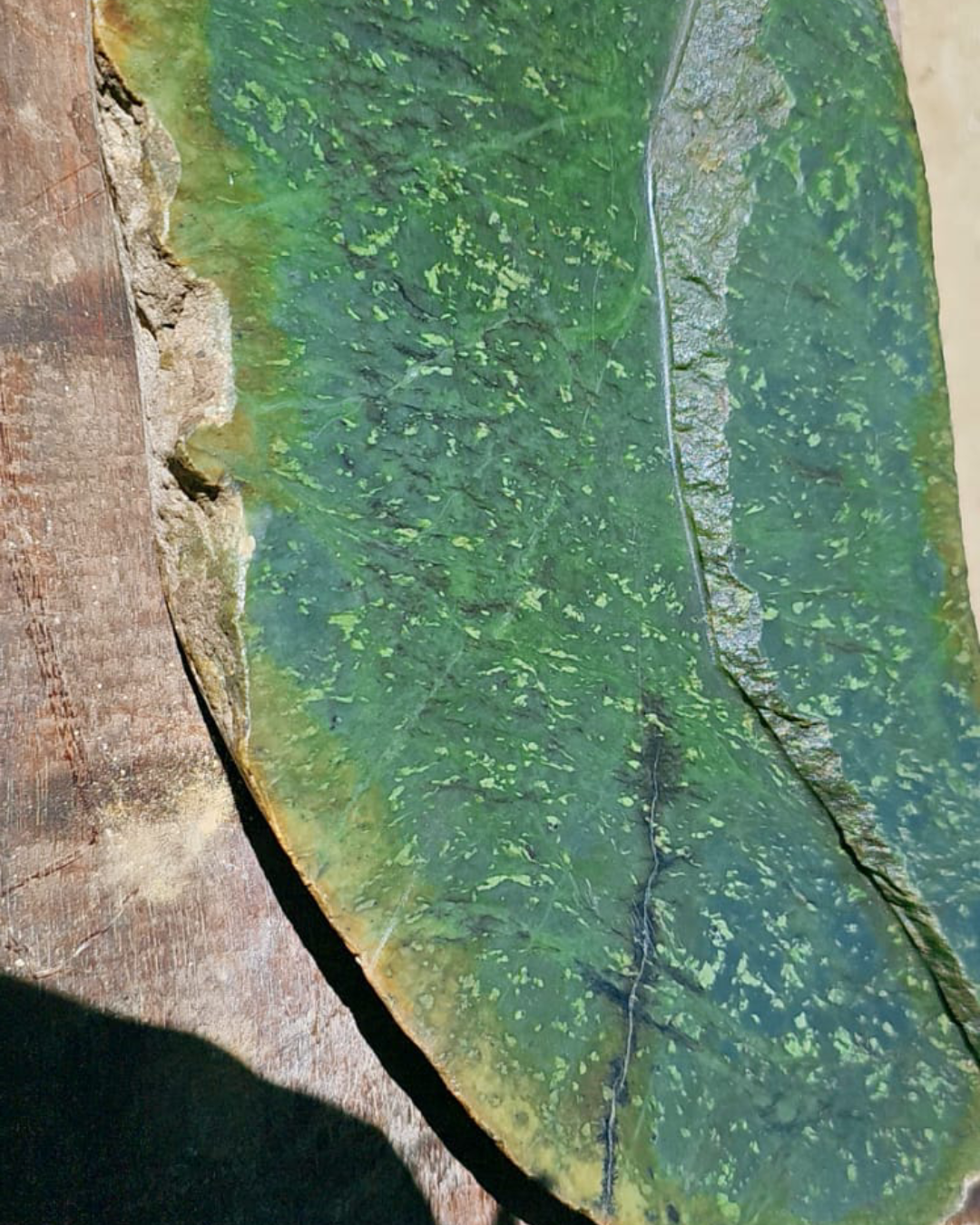 Aceh Forest-Green Nephrite Jade Flattened Slab