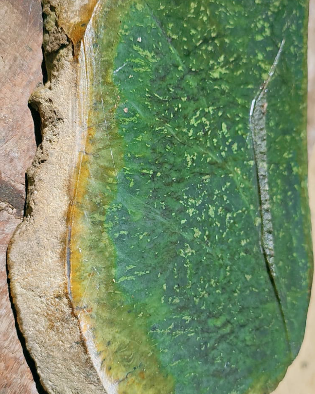 Aceh Forest-Green Nephrite Jade Flattened Slab
