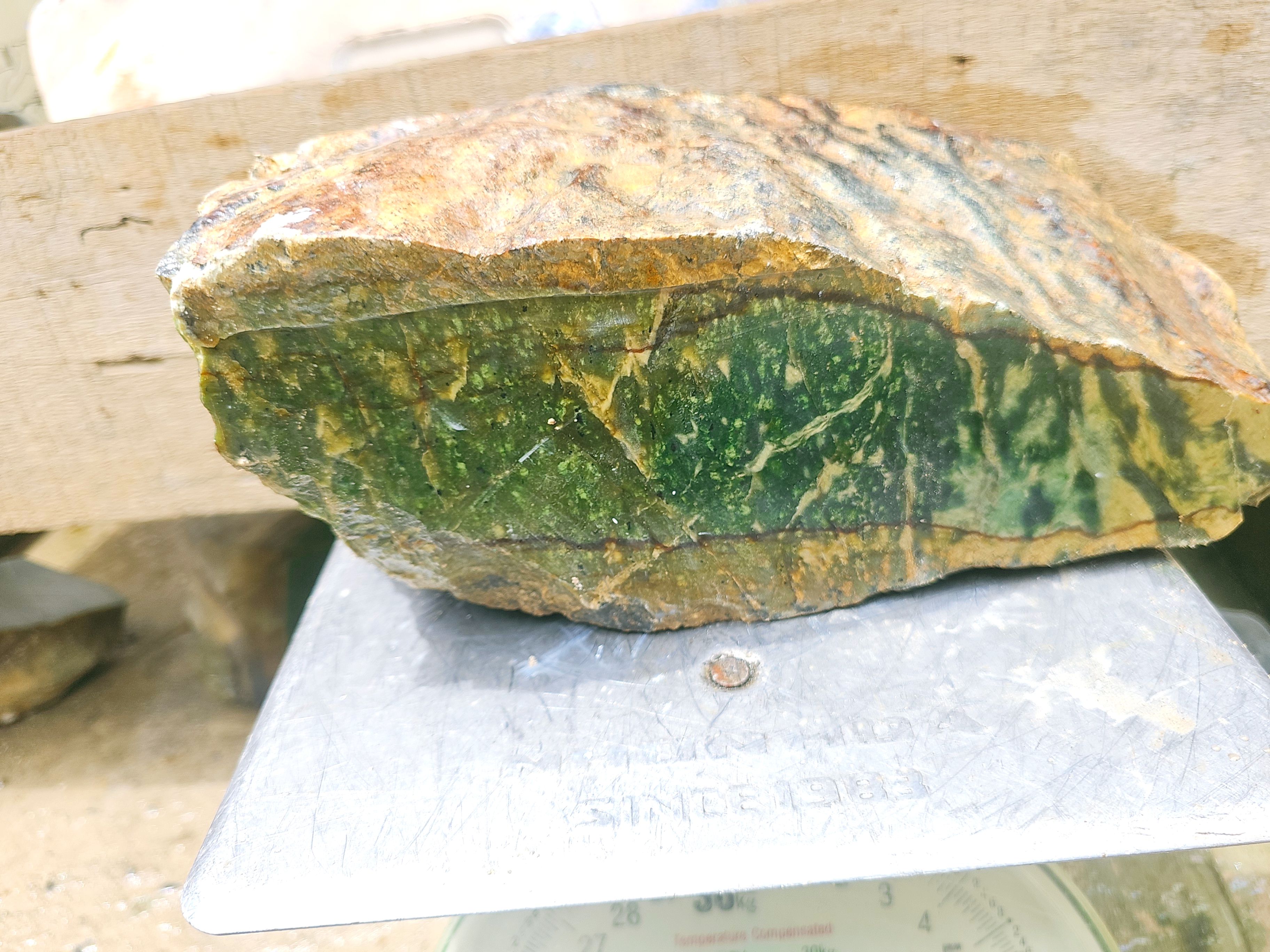 Natural Blue Green Nephrite Jade Rough Stone – Large Teal Jade Block with Golden Brown Skin for Collectors and Lapidary