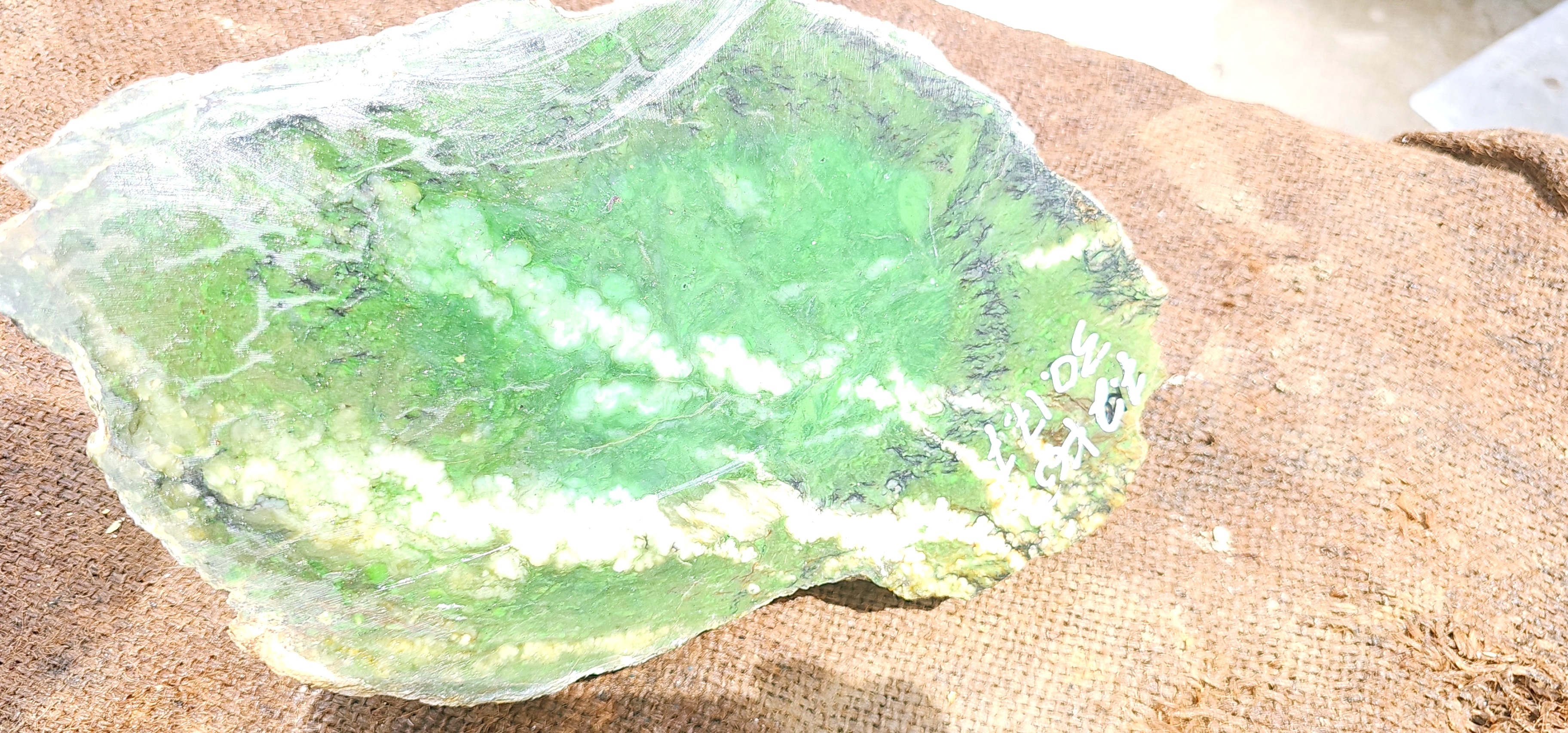 Natural Green Nephrite Jade Rough Stone – 7.2 KG Raw Green Jade with White Patterns