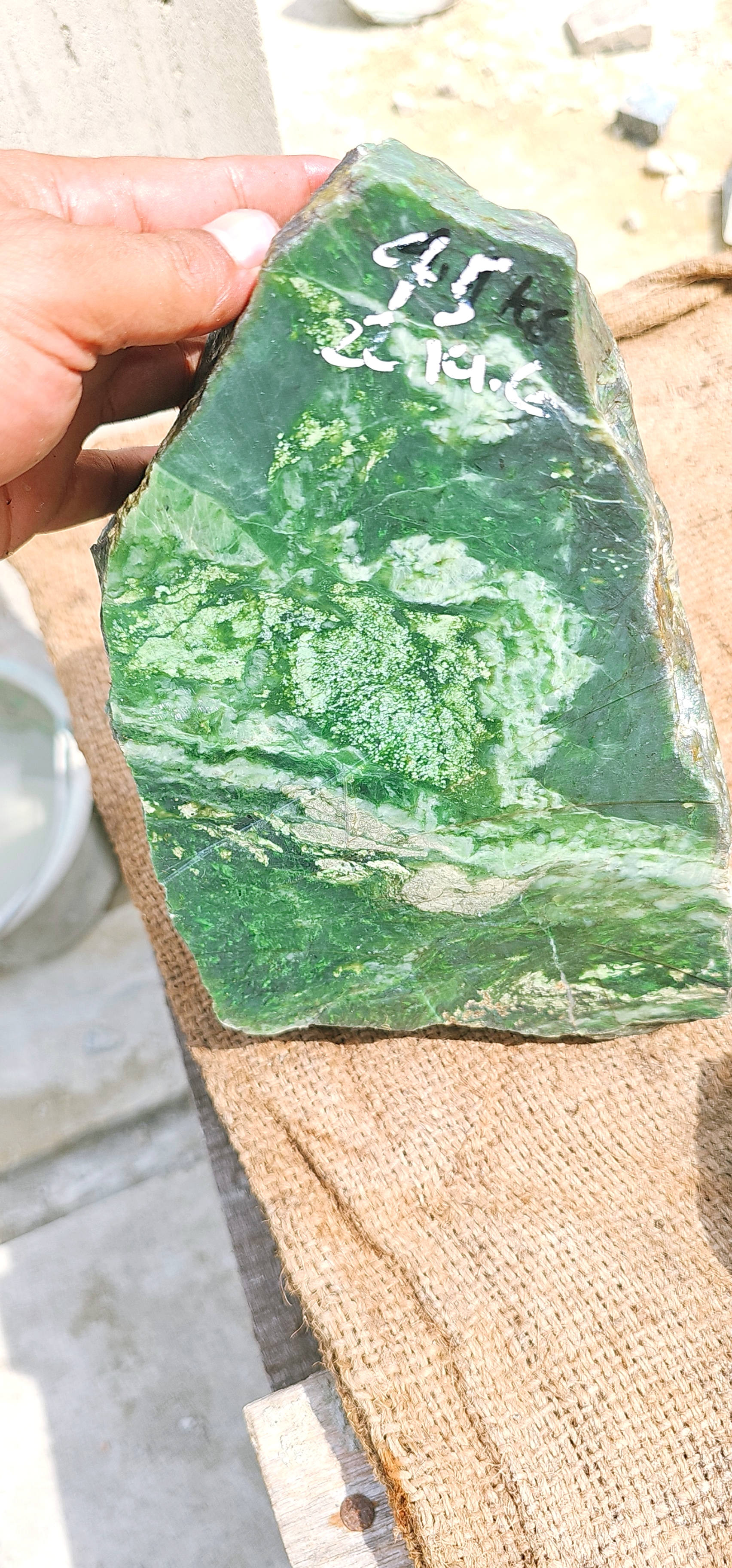 Natural Blue-Green Nephrite Jade Rough Stone – 4.5 KG