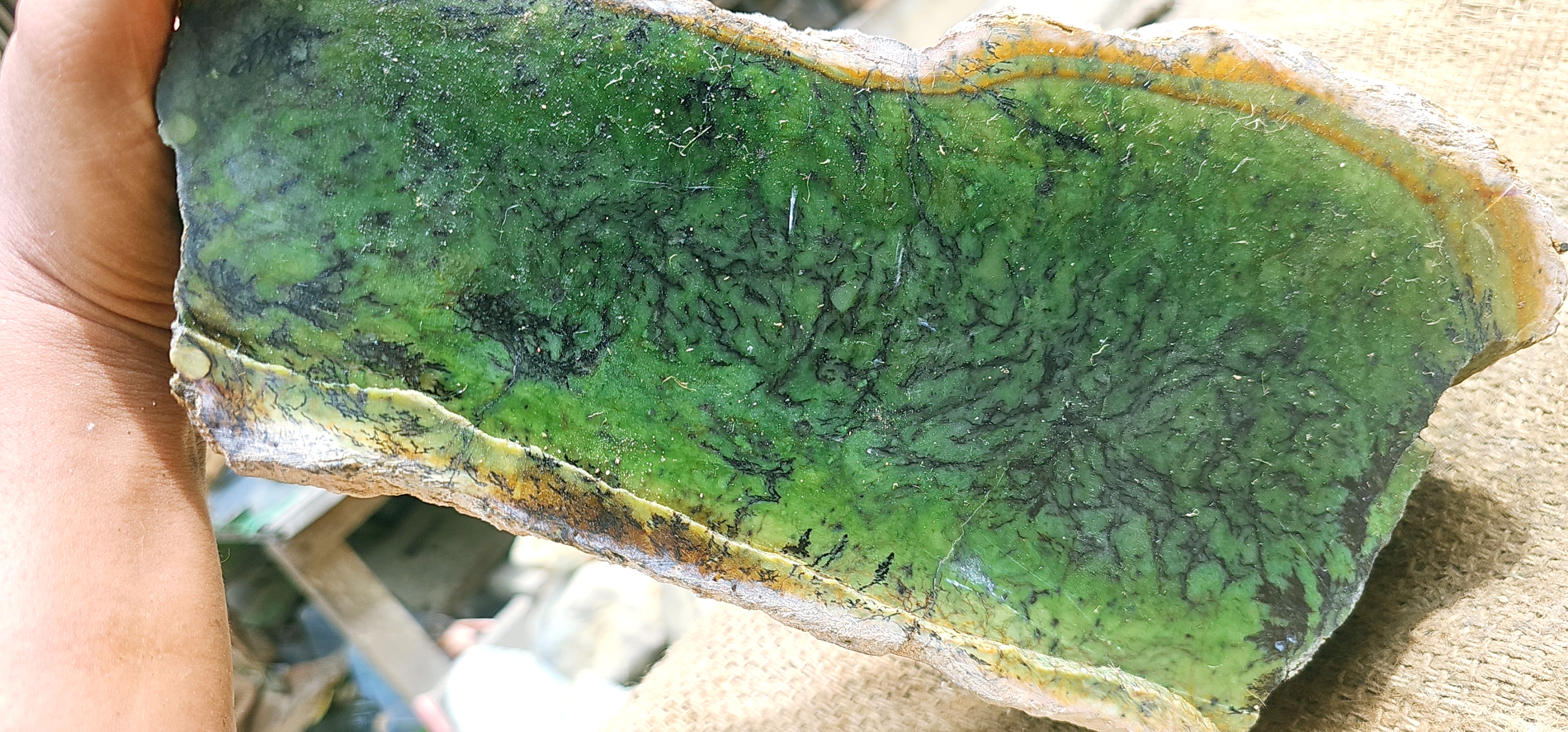 Natural Green Nephrite Jade Rough Slab with Golden Yellow Edges – 9.4 KG