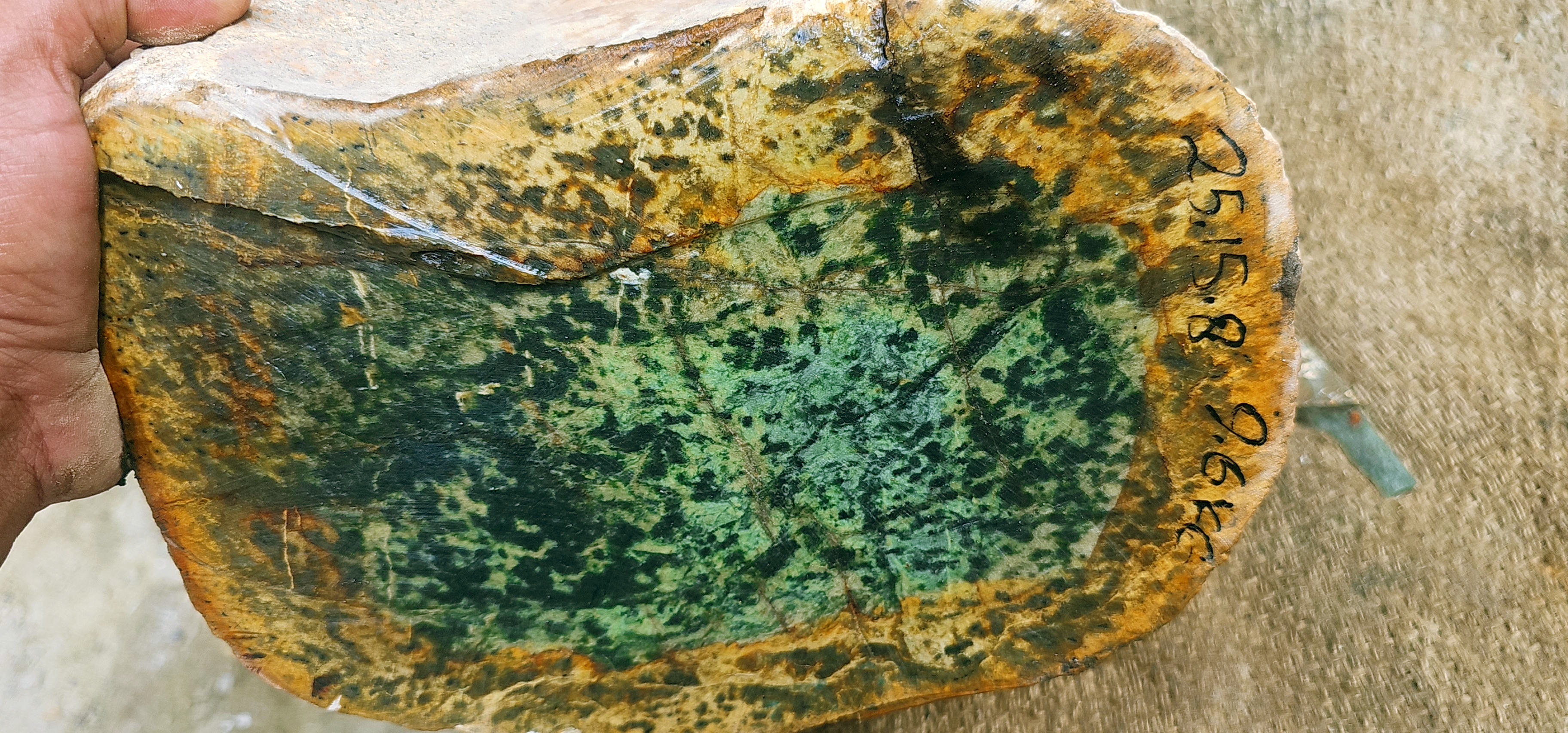 Natural Green Nephrite Jade Rough Slab – Dark Green with Golden-Brown Matrix, 9.6 KG