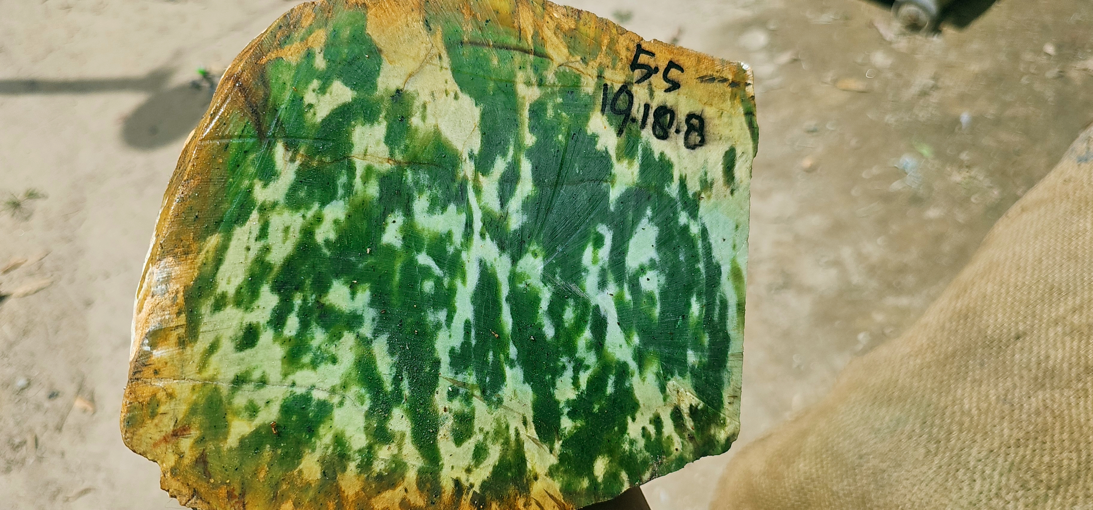 Expert-Verified Natural Nephrite Jade Rough Slab – 5.5 KG | Dark Green and Cream Pattern