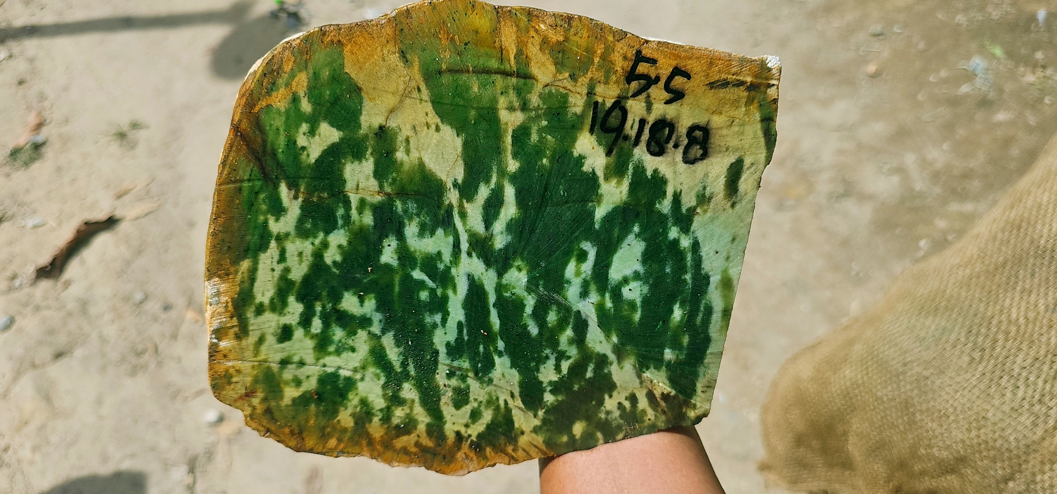 Expert-Verified Natural Nephrite Jade Rough Slab – 5.5 KG | Dark Green and Cream Pattern