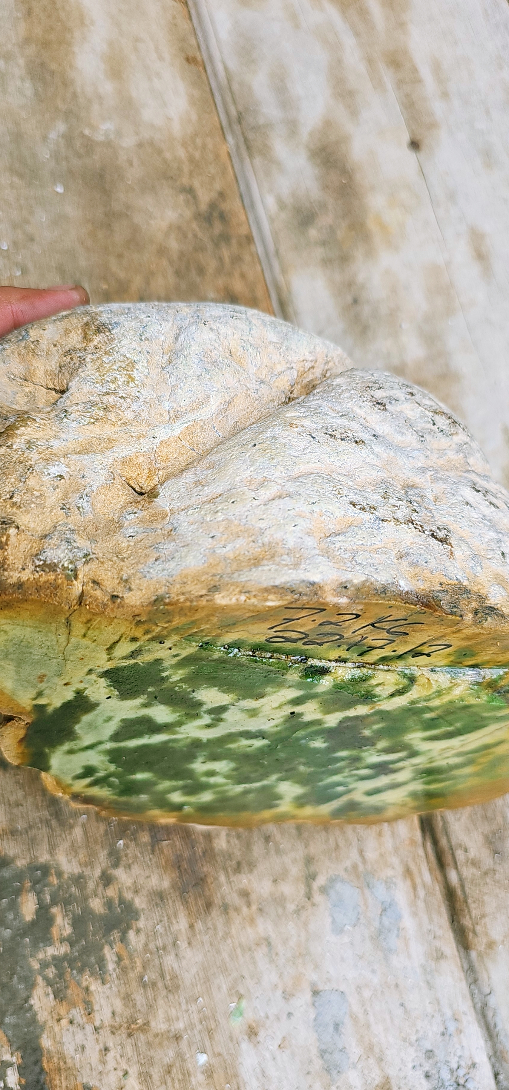 Natural Mottled Green Jade-Like Rough Slab – Deep Forest-Green Patches, Creamy Pale-Green Matrix, Golden-Brown Host Rock & Intricate Cloud-Like Pattern – 7.2 KG