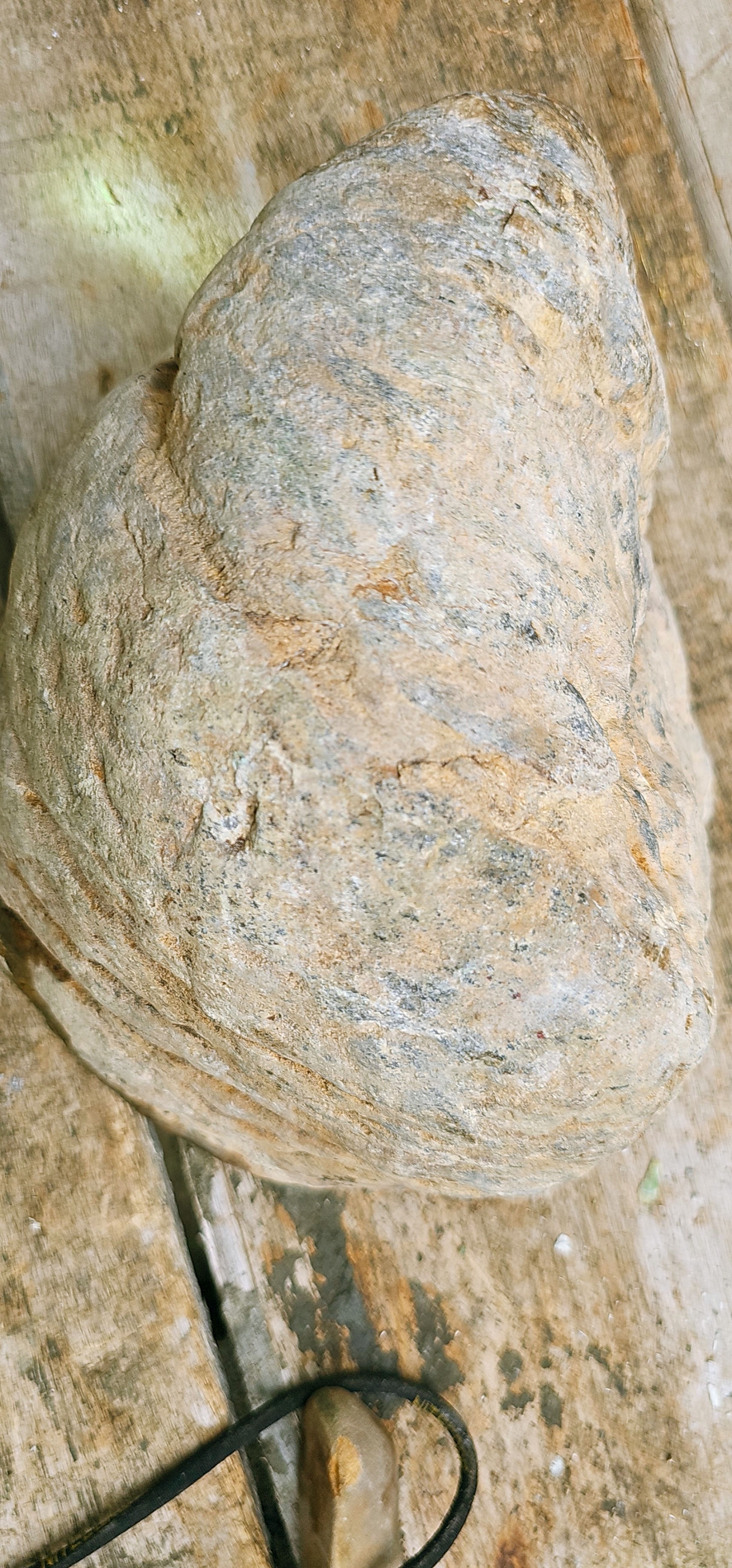 Natural Mottled Green Jade-Like Rough Slab – Deep Forest-Green Patches, Creamy Pale-Green Matrix, Golden-Brown Host Rock & Intricate Cloud-Like Pattern – 7.2 KG