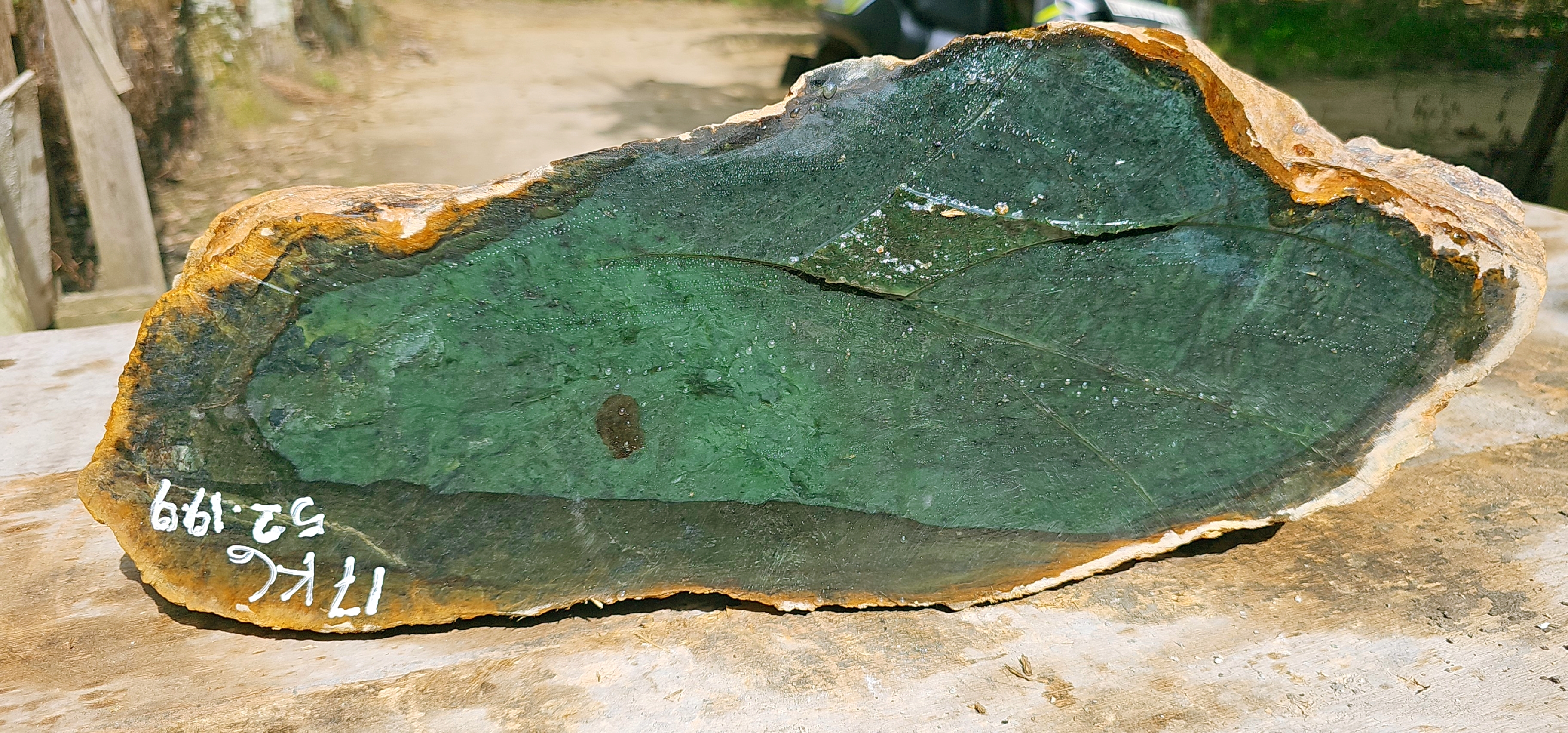 Aceh Natural Forest Green Nephrite Jade Raw Stone – 17 KG