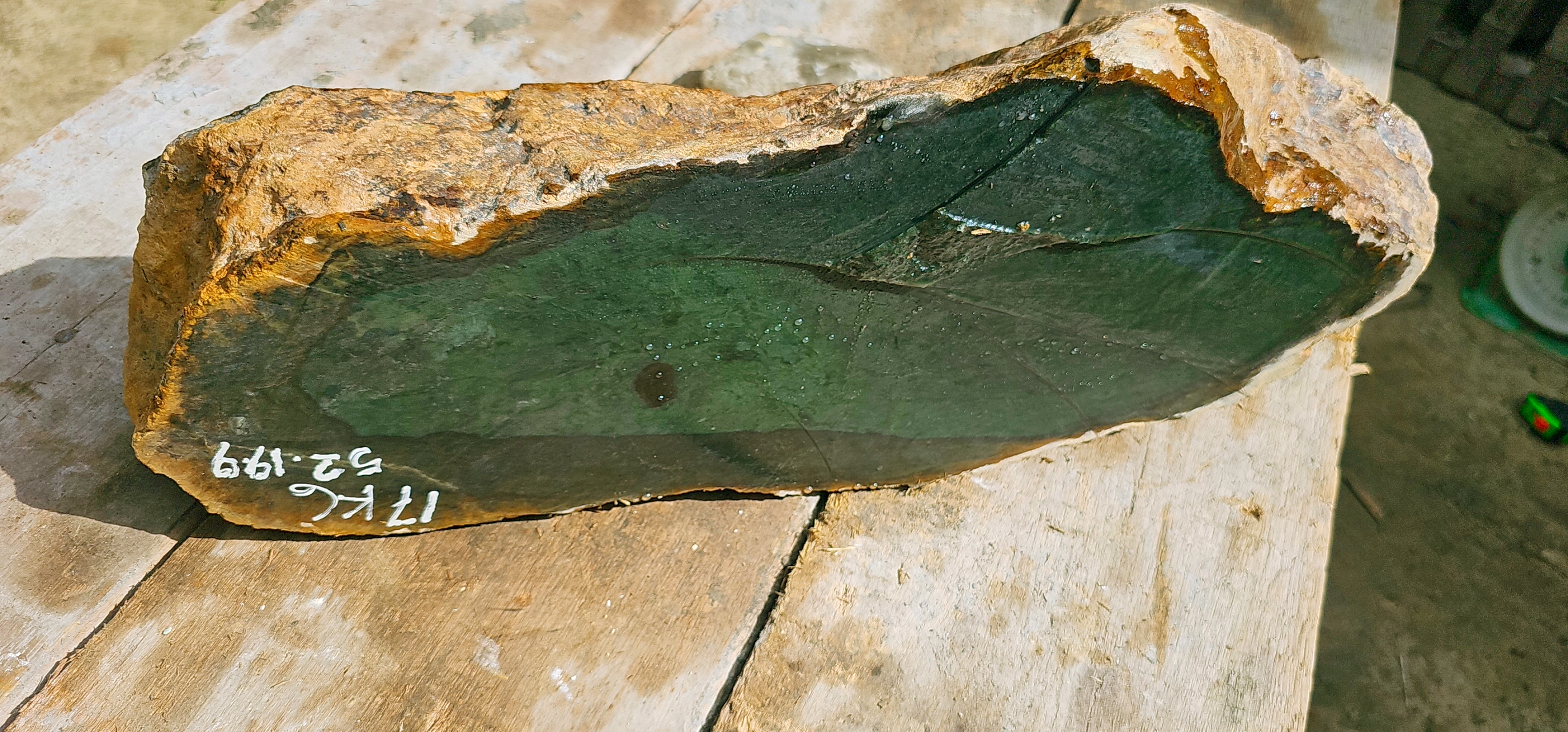 Aceh Natural Forest Green Nephrite Jade Raw Stone – 17 KG