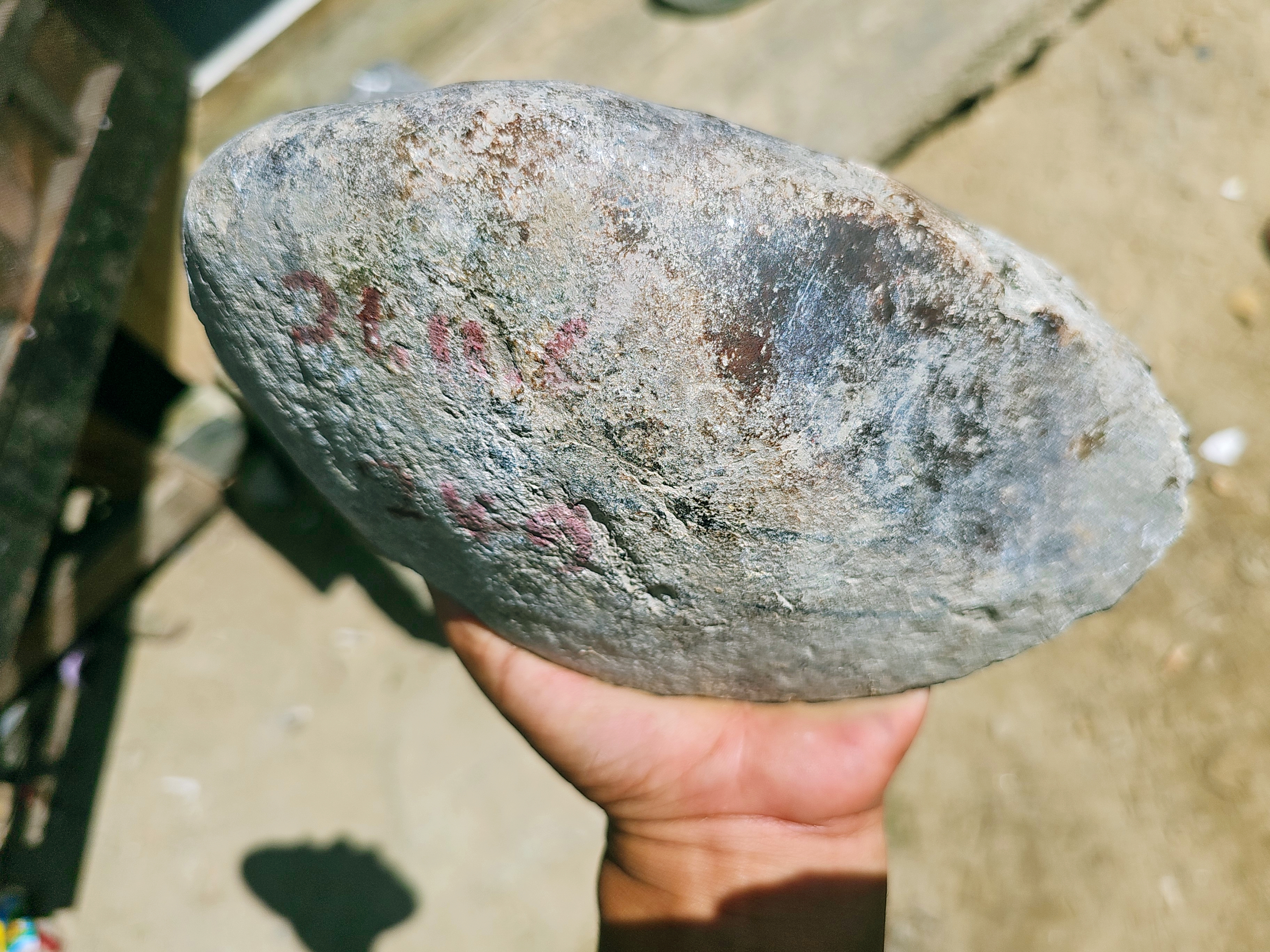 Aceh Natural Deep Forest Green and Moss Green Nephrite Jade Slab with Dynamic Vein Patterns Rough Stone – 2 KG