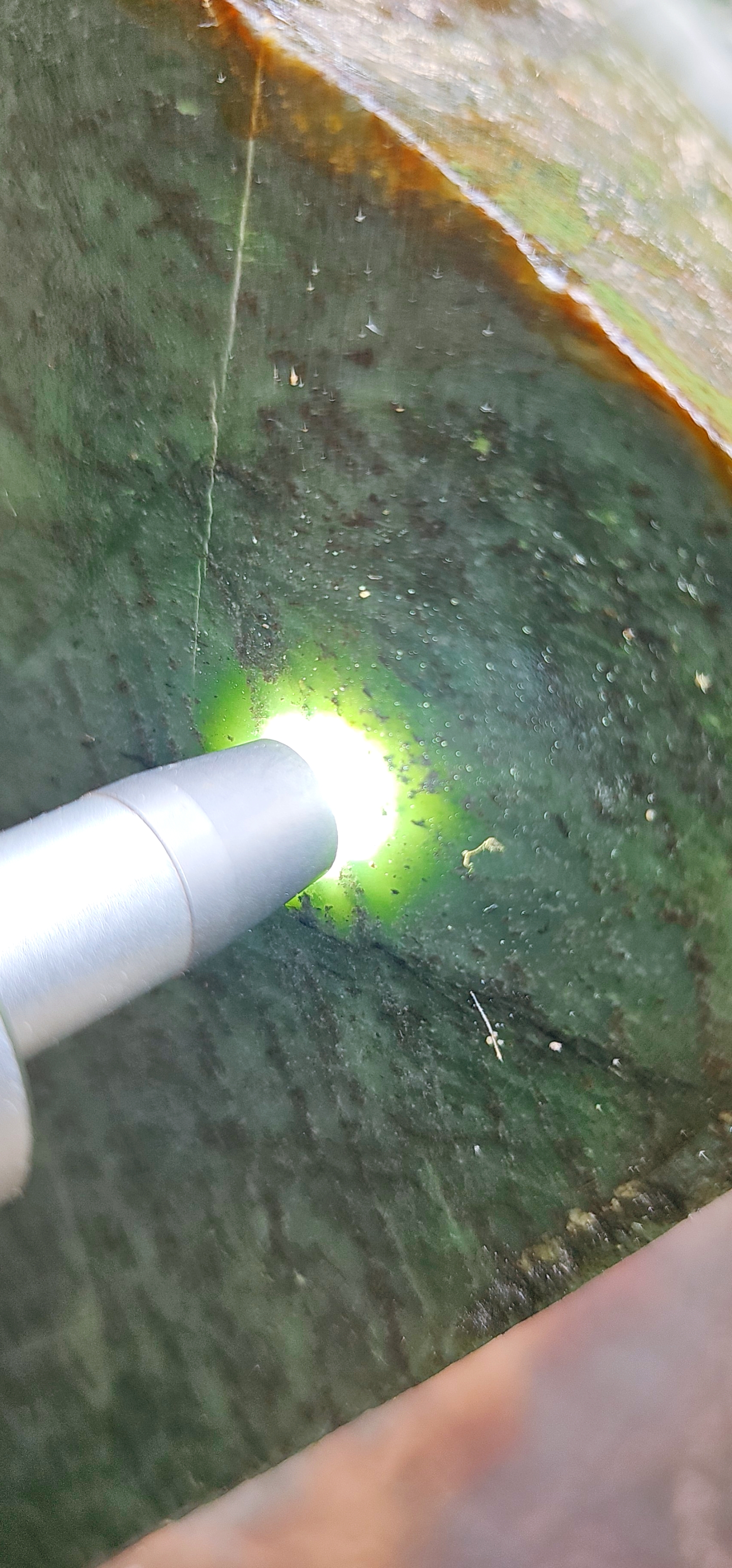 Aceh Natural Deep Forest Green and Moss Green Nephrite Jade Rough Stone with Dynamic Clouded Veining and Warm Rind – 9 KG