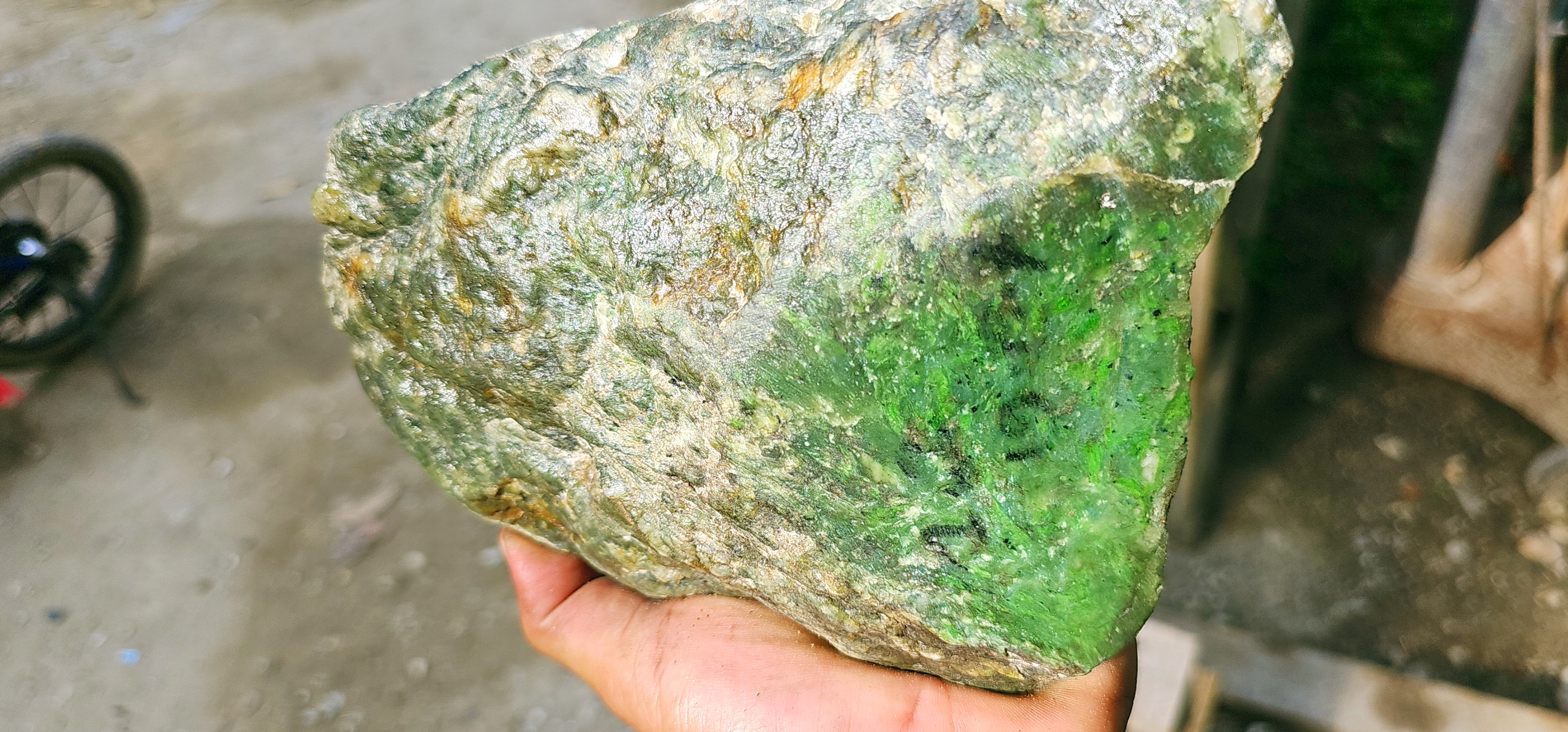 Aceh Natural Deep Forest Green Nephrite Jade with Textured Rough Surface and Vivid Mineral Highlights Rough Stone - 1.2 KG