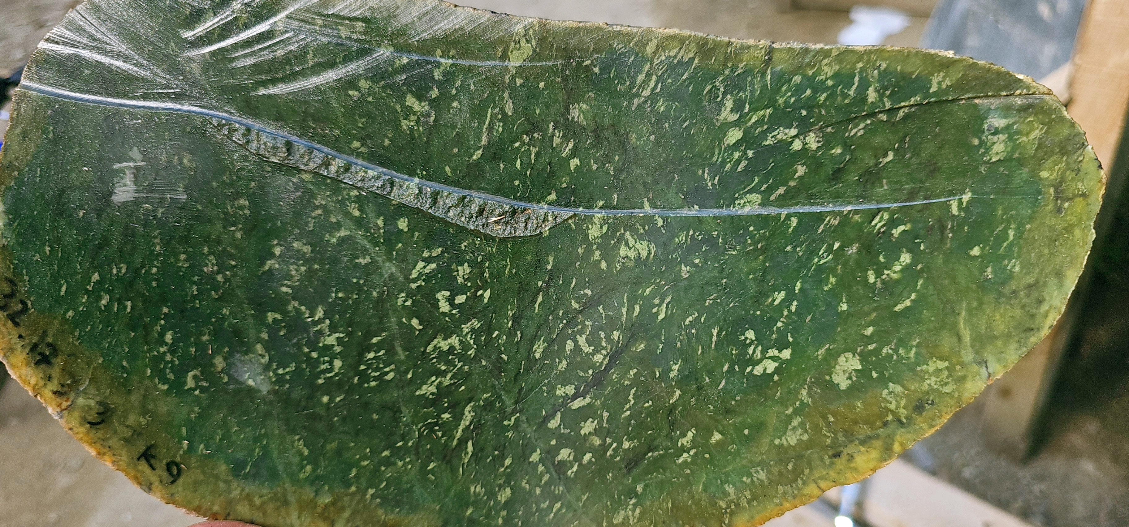 Aceh Deep Forest Green Nephrite Jade Slab with Dynamic Mottled Speckling and Natural Rough Edges – 3.2 KG