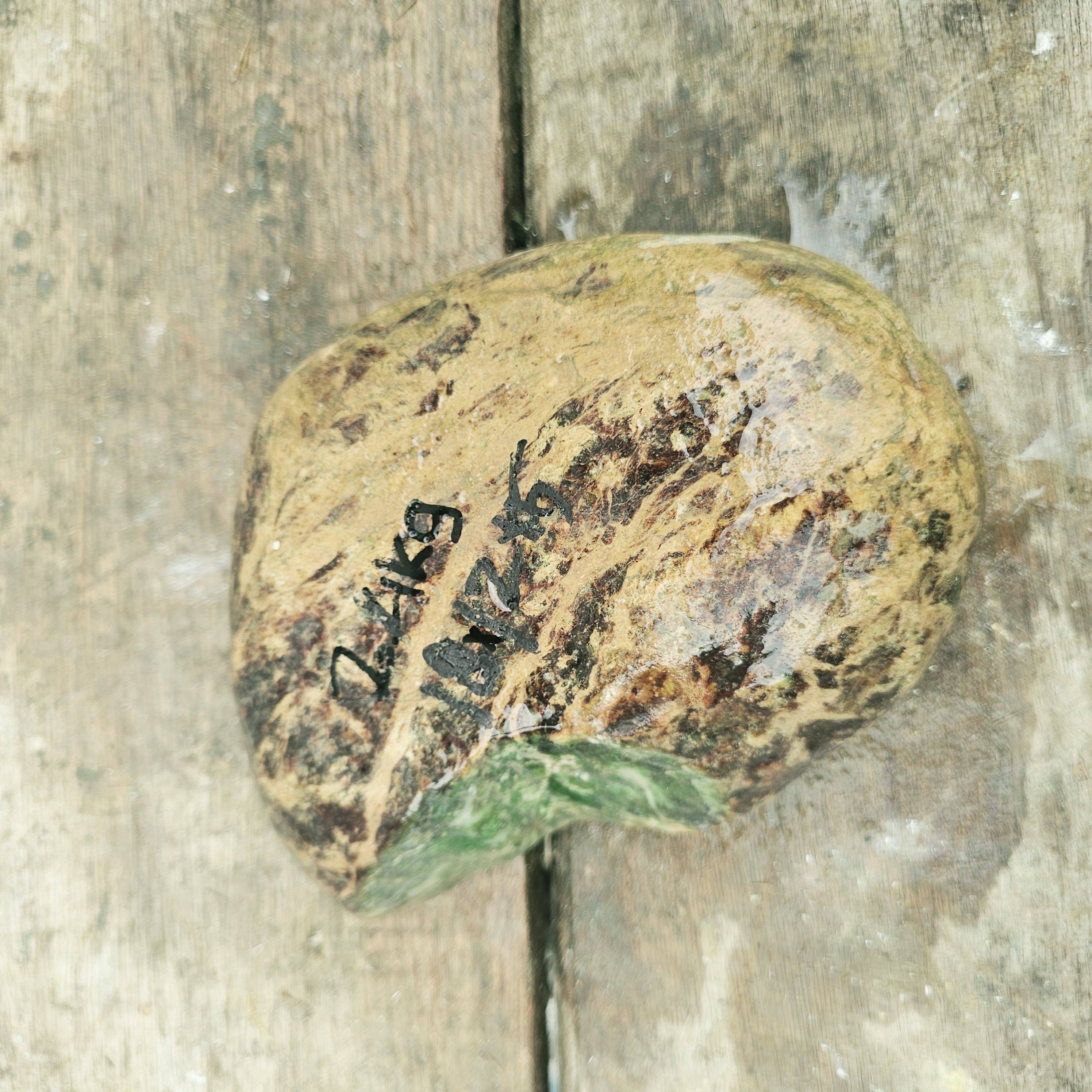 Aceh Natural Deep Green Nephrite Jade with Textured Earthy Rind and Exposed Crystalline Interior Rough Stone – 2.4 KG