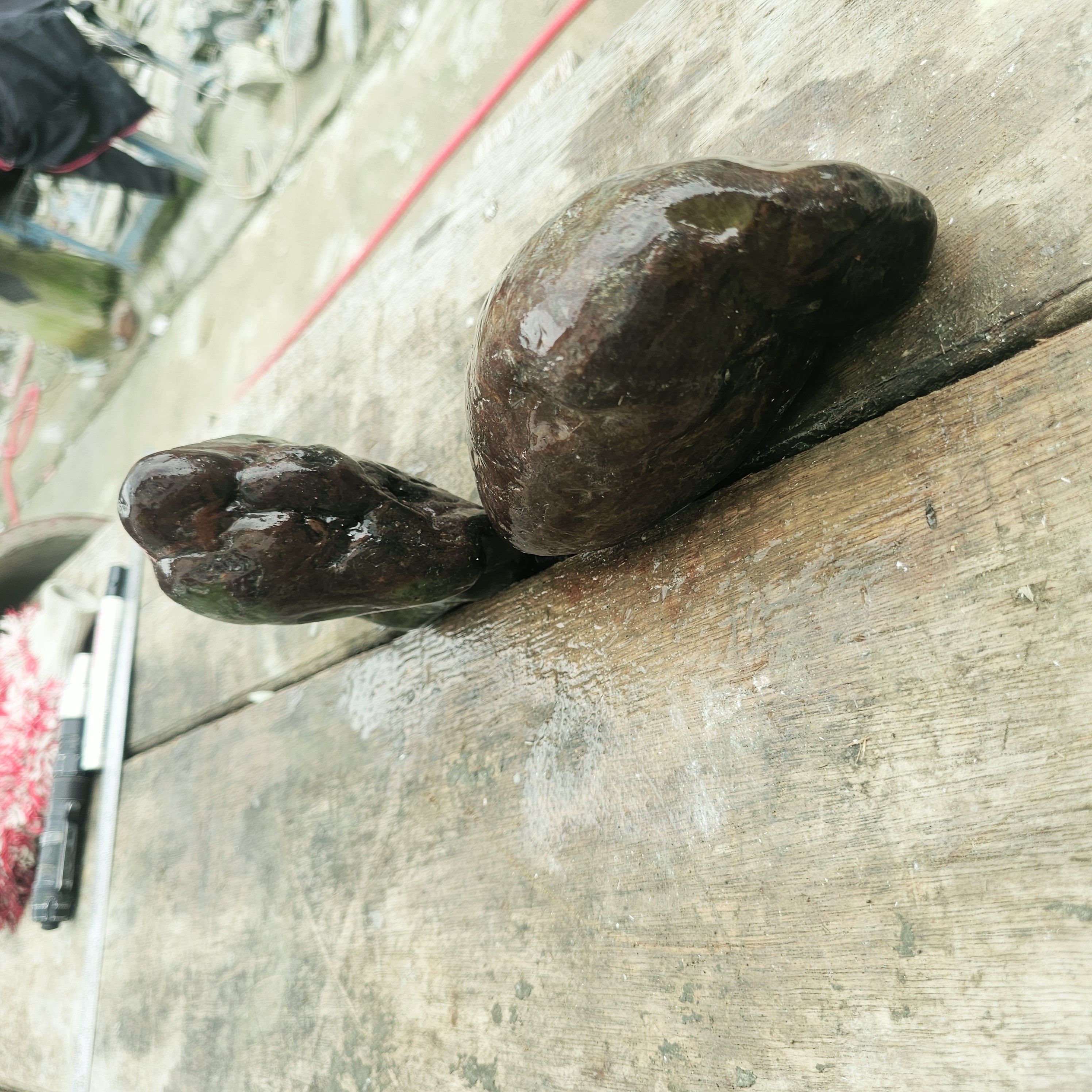 2PCS Aceh Natural Deep Blackjade Rough Stone Lot with Subtle Green undertones and Organic Weathered Contours – 3.7 KG