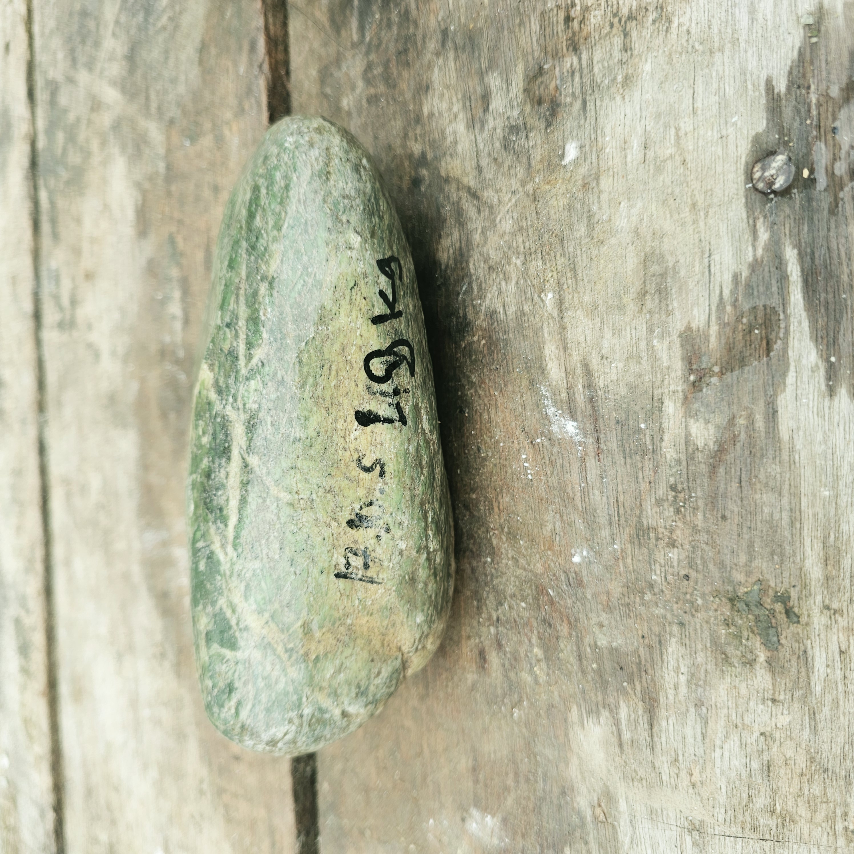 Aceh Natural Moss Green and Gray Nephrite Jade Rough Stone with Fine Veining and Smooth Contours – 1.8 KG