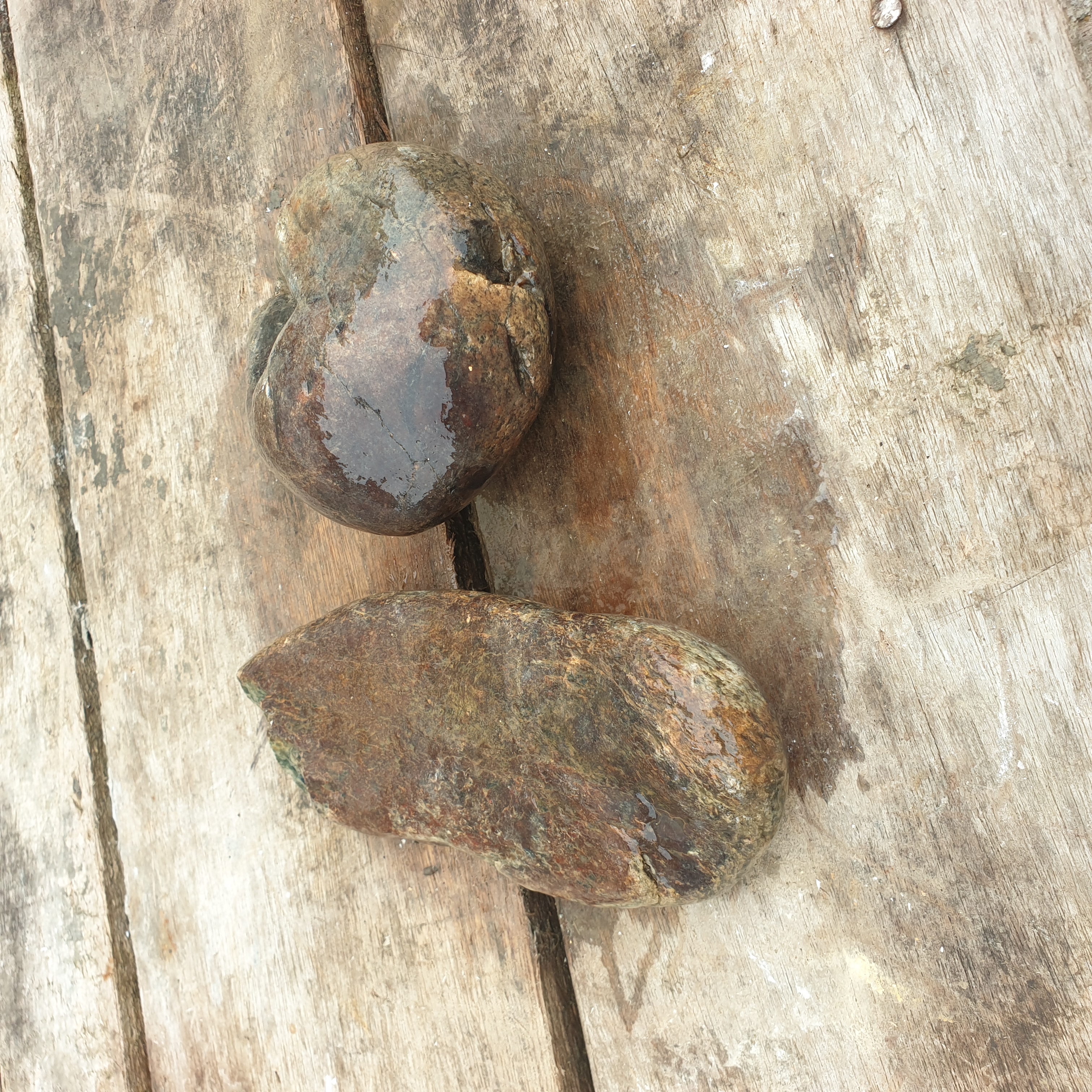 Aceh Natural Deep Green and Brownish Nephrite Jade Slabs Lot of Two Rough Stones with Organic Weathered Contours – 2.2 KG