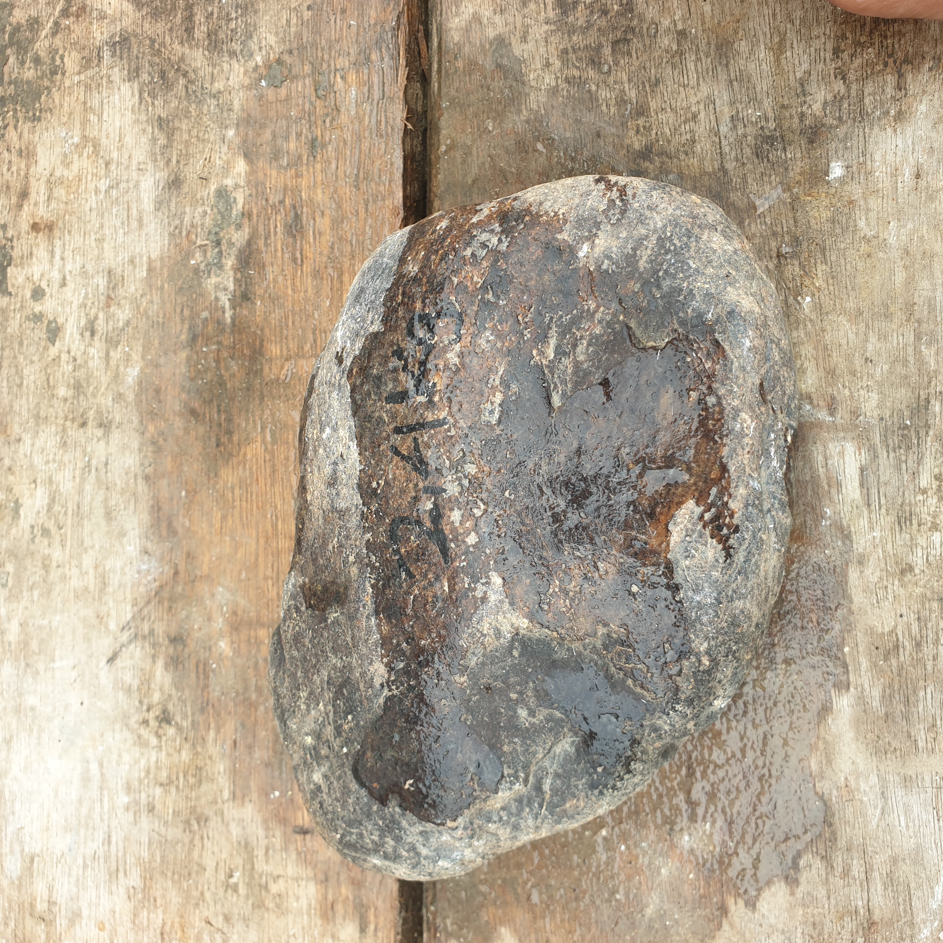 Aceh Natural Deep Blackjade with Brownish Undertones and Smooth Weathered Contours Rough Stone – 2.4 KG
