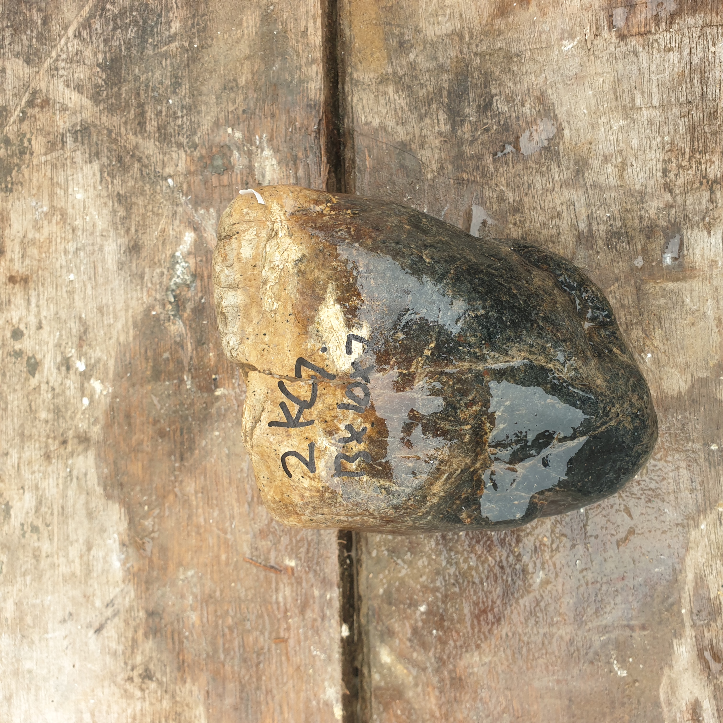 Aceh Natural Deep Blackjade with Warm Brownish-Tan Capping and Organic Surface Texture Rough Stone – 2 KG