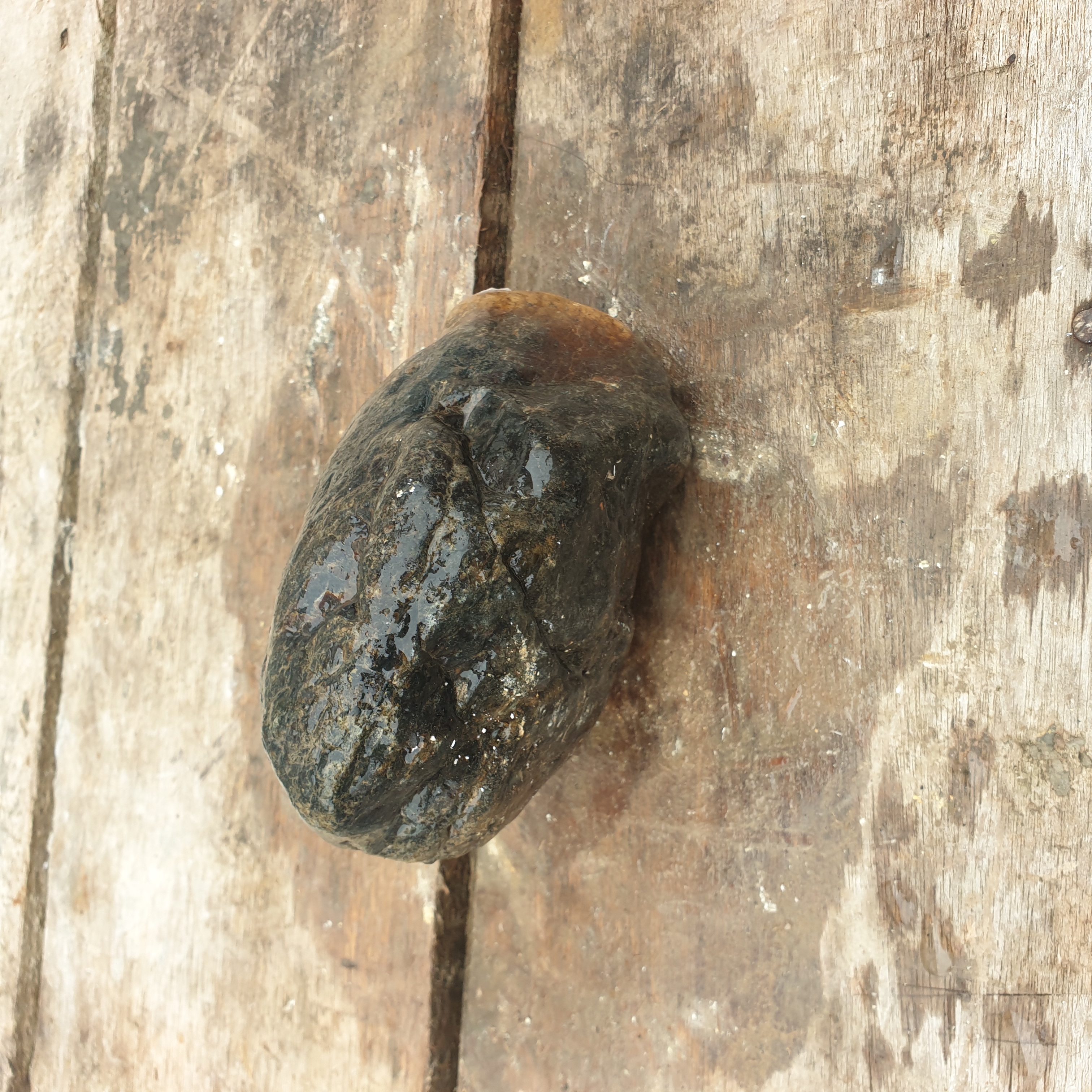 Aceh Natural Deep Blackjade with Warm Brownish-Tan Capping and Organic Surface Texture Rough Stone – 2 KG