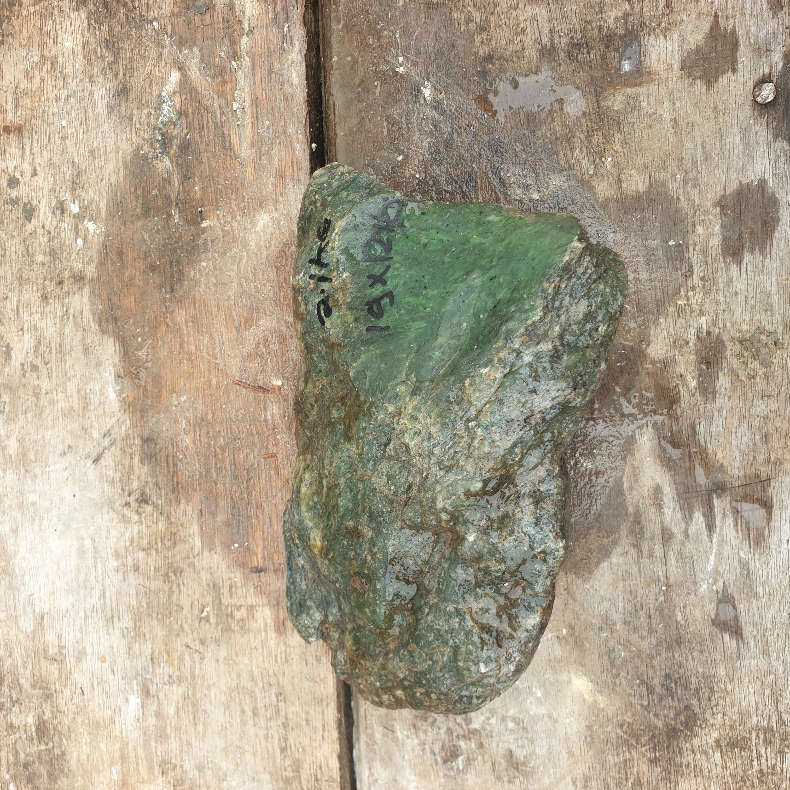 Aceh Natural Deep Moss Green Nephrite Jade with Textured Rough Surface and Organic Mineral Veining Rough Stone – 2.1 KG
