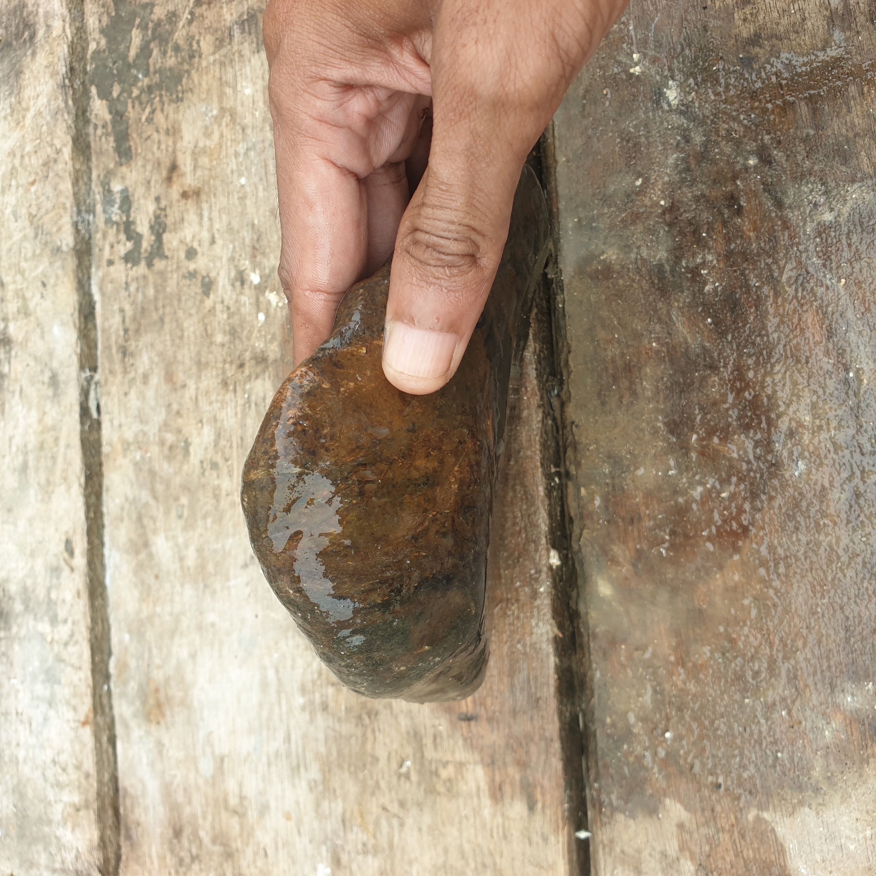 Aceh Natural Deep Blackjade with Rich Brownish Undertones and Organic Contour Rough Stone – 1.4 KG
